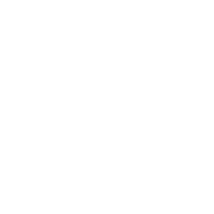 icon-AI